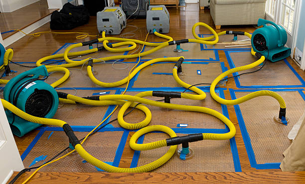 Professional Basement Flood Cleanup technician working in Saint Johns, AZ